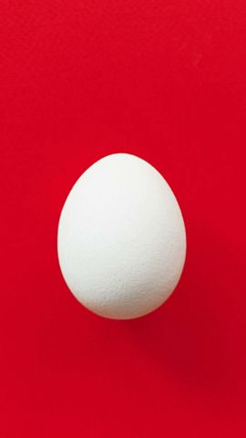 9割が知らない?体の調子が良くなる毎日食べるといい食べ物5選 #食のひみつ #食材の効能 #健康豆知識 #雑学 #食べ物 #shorts