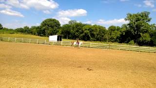 WP 20130714 013