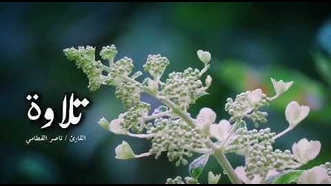 قل ربي إما تريني ما يوعدون تلاوة خاشعة  الشيخ ناصر القطامي