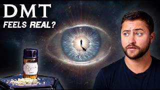 DMT Feels "More Real than Real"... But Why?