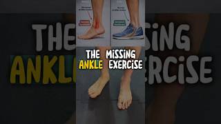 Fix Your Ankle Before It Gets Worse ♻️🦶🏻@MiladRahimifit