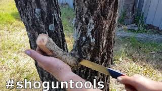 How to use the 3 cut method for pruning Net Worth