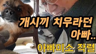 개시끼 치우라던 아빠의 변화과정 (유기견 임시보호중)