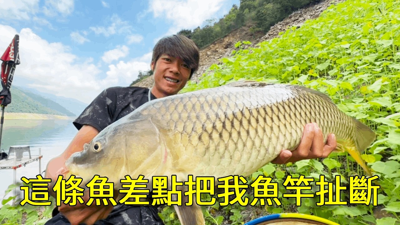 爆發型的鯉魚力量有多大，魚竿差點扛不住了，這個頭真不簡單【野釣長空】 #釣魚 #釣魚人