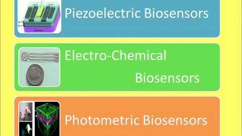 UVA BME 2013 Series Part 9: Fields within BME to Explore
