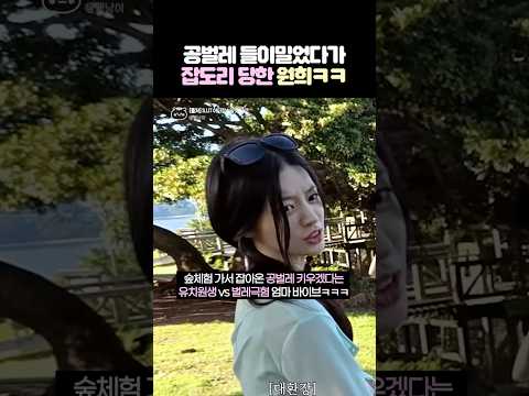 공벌레 들이밀었다가 잡도리 당하는 원희ㅋㅋ thumbnail