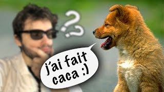 LES ANIMAUX PEUVENT PARLER NOTRE LANGUE ? Vrai ou Faux #58