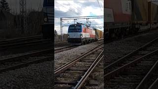 D-SKG 193-912 (MEL 541-010) and Gartner intermodal train, Markovac #fyp