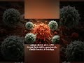 🦠🧬 Cancer-ஐ அழிக்கும் நம் உடலின் ரகசிய ஆயுதம்!