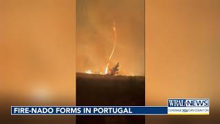 'Fire-nado' forms in Portugal due to combined swirling wind, extreme heat