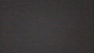 WIN 20190228 12 07 11 Pro Fight the Power +