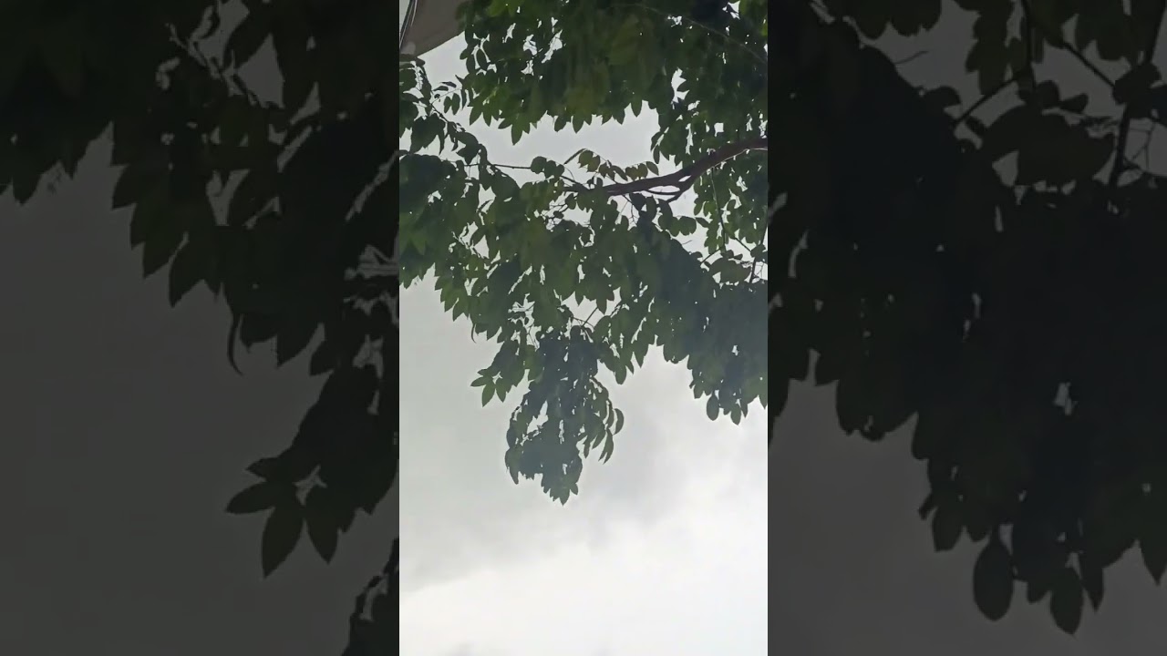 No one escape 😰but actually it's raining now 😍color of 