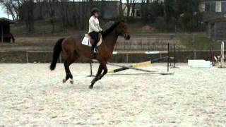 DSCN0108.AVI