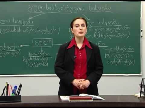 გულ-სისხლძარღვთა სისტემა. II ნაწილი