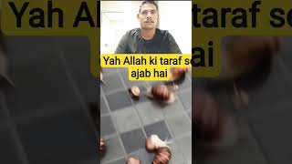 #alahazratkalambyowaisrazaqadri #funny @InformativeMedia