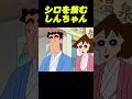 シロを羨むしんちゃん#コントチャンネル #アニメ#コント #面白い #ショート動画 #anime #funny
