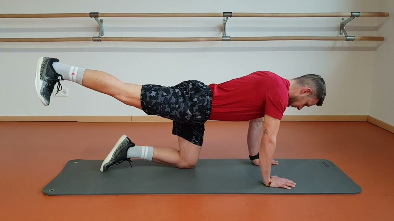 4-Füßler – Schwierigkeitsgrad einfach bis mittel