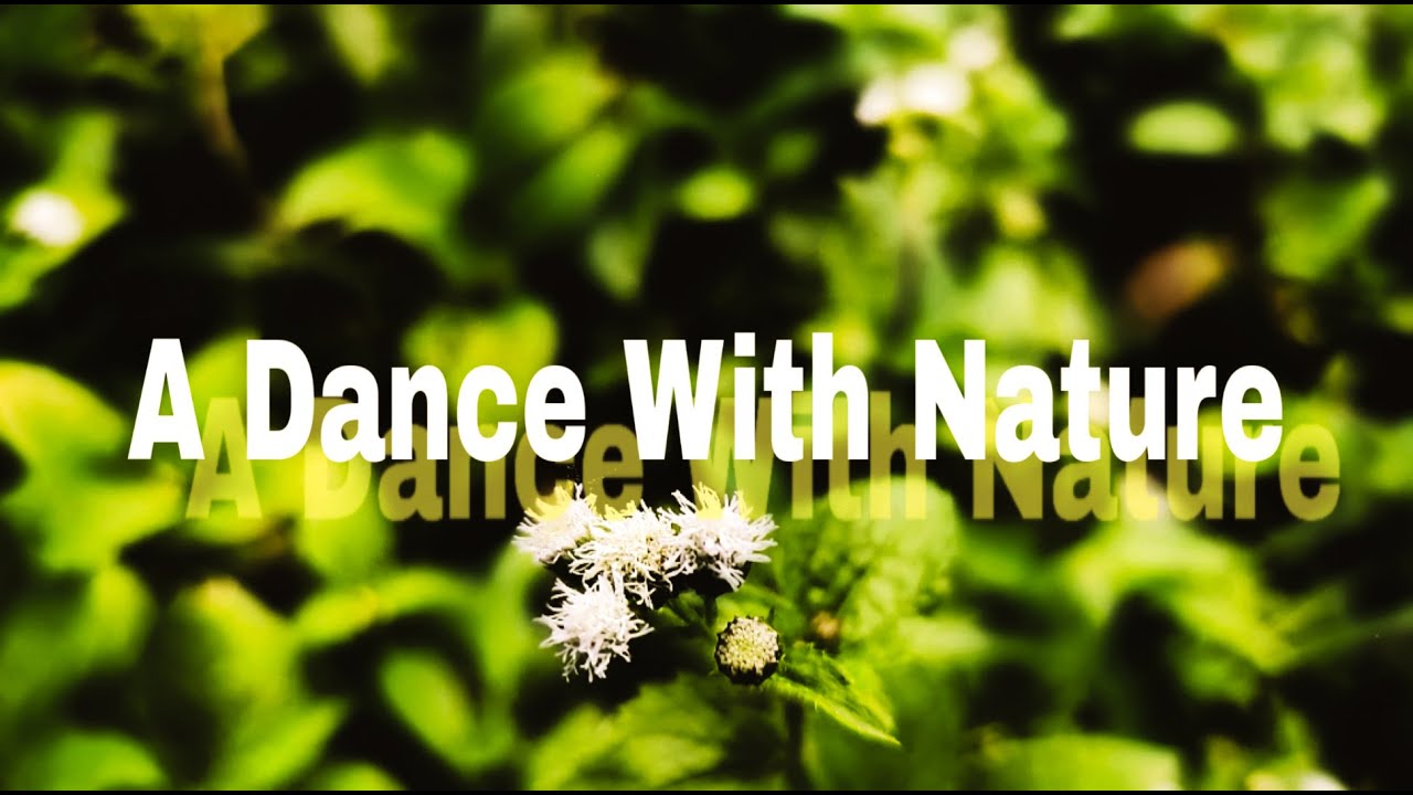A Dance With NATURE...!!! YouTube