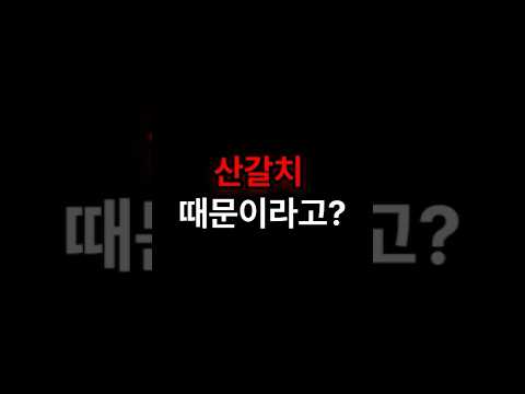 일본 대지진이 산갈치 때문이라고?