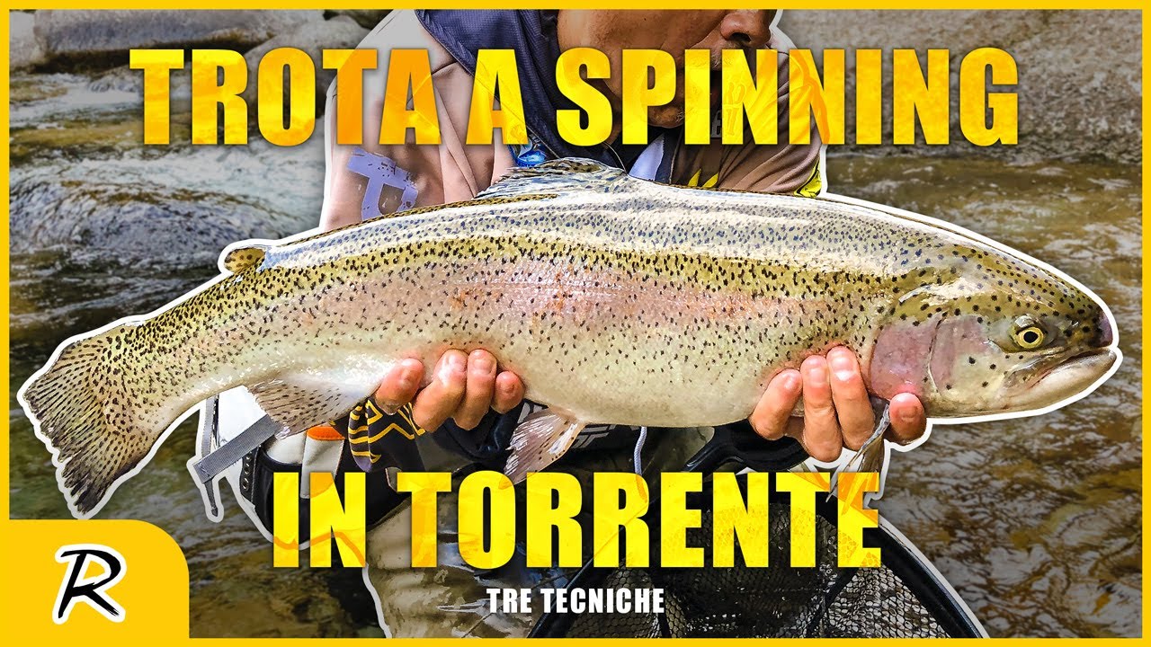 Tre Tecniche per la TROTA SPINNING in Torrente | #PredatorZone | @Rapturelures