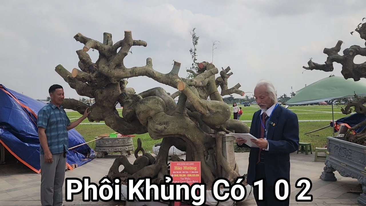 Phôi rất khủng và kỳ vỹ Vương Long Quận Hải của NV Hảo Hường tại TL Đền Trần NĐ 