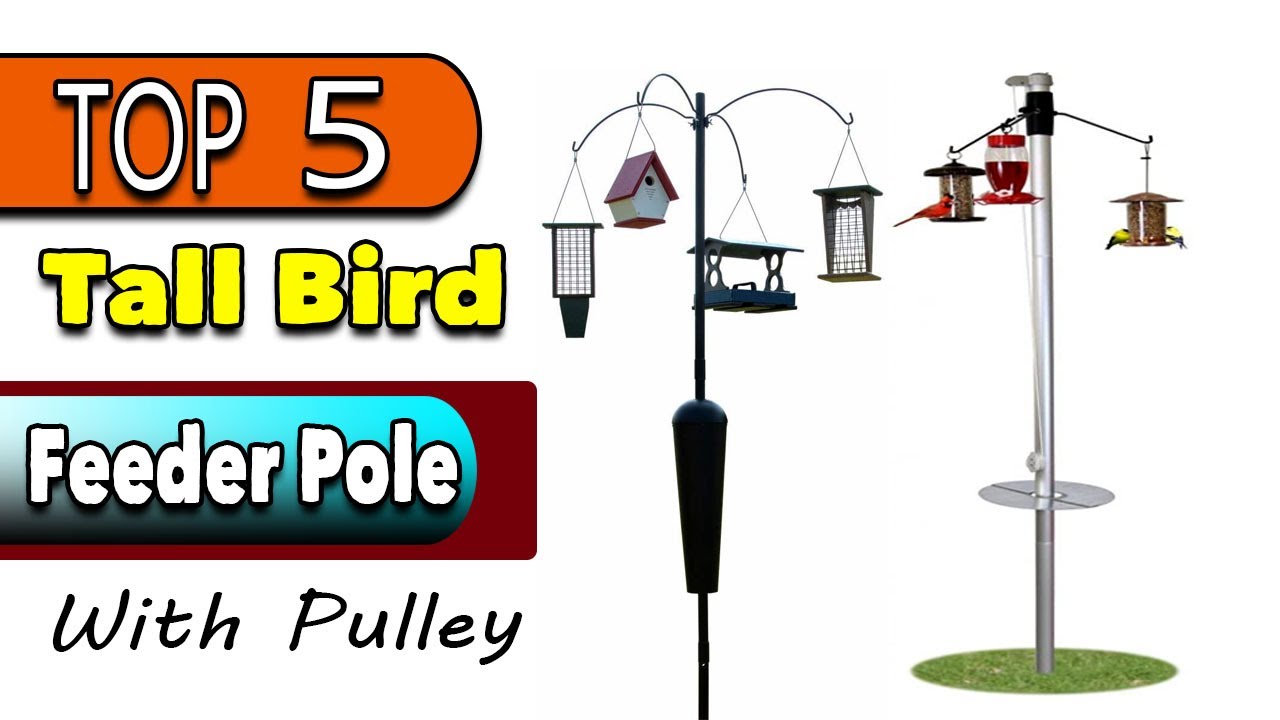 Best Tall Bird Feeder Pole With Pulley 10 Foot 15 Foot Heavy Duty
