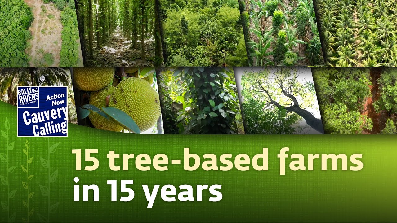 A Look At 15 Farms That Have Transitioned To Tree based Farming In The A Look At 15 Farms That Have Transitioned To Tree based Farming In The