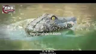 New Toy - RC Crocodile