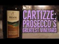 The Greatest Prosecco Vineyard: Cartizze