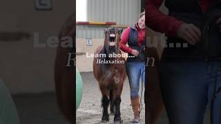 So many plans in the worlds for this!! 👀🥳