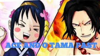 One Piece Chapter 912 Ace And O Tama Past