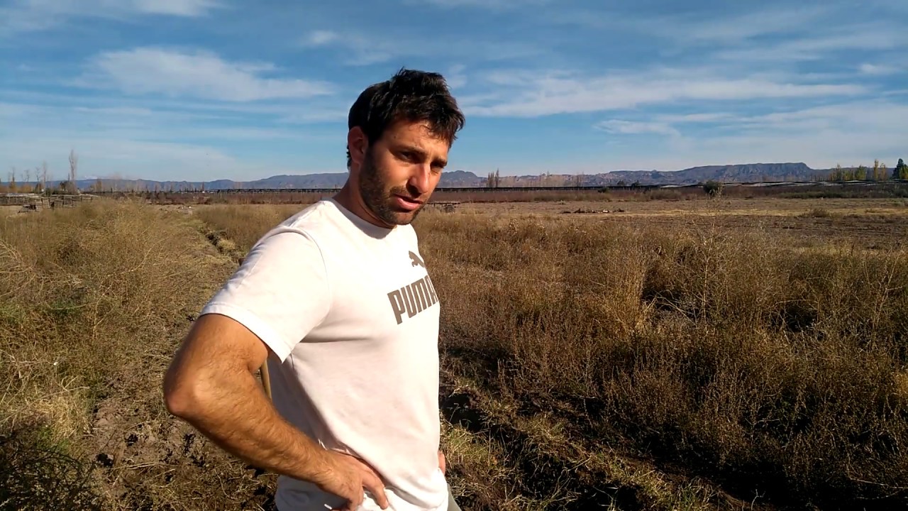 HUERTA ORGÁNICA: Cómo plantar vid para tener uva