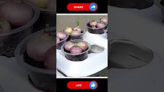 Grow Green Onion #gardening #farming #vegetables #easyfarming #viralvideo
