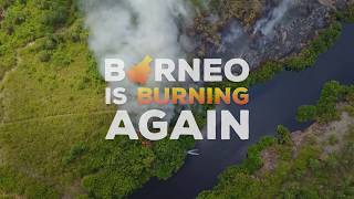 Borneo is burning again Indonesia subtitle