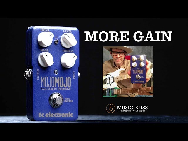 PAUL GILBERT MOJOMOJO vs MOJOMOJO Overdrive Pedal Comparison