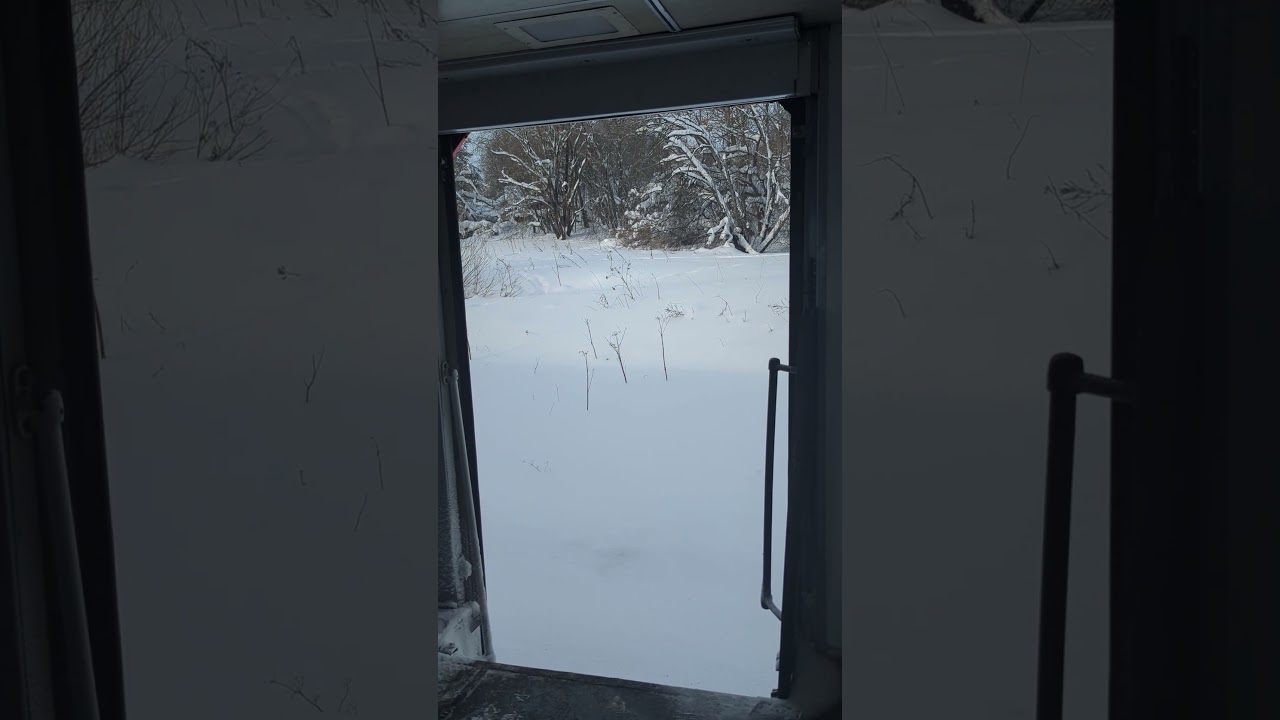 САВПЭ в ЭД4М-0062 | Следующая остановка Вязьма