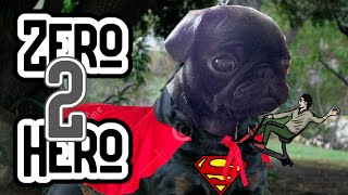 Pupgrade Pug to Super Pug in 20mins | Photo Manipulation | Wheeliemanuk screenshot 3