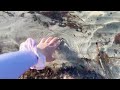 kaleidoscope (MV) (planet album) - catlaine