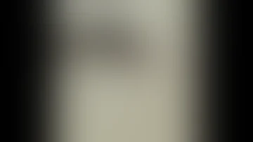 جفتگیری کورکن Animals Mating 