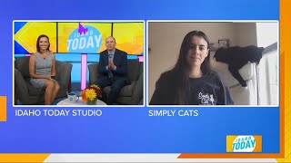 Idaho Today: Health & Wellness for our pets when schedules get busy
