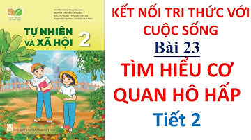 Tự nhiên xã hội lớp 2  - Bài 23 Tìm hiểu cơ quan hô hấp Tiết 2 | Cô Bình | 10 Phút Học Bài