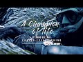 Cressi Spearfishing – Stefano Bellani, a champion of life