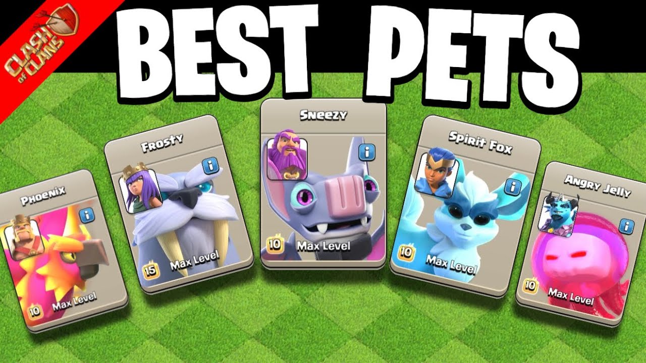 Best PET for Your Heroes according to Townhall in Clash of Clans!