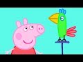 Peppa Pig Português  Animais  Compilação