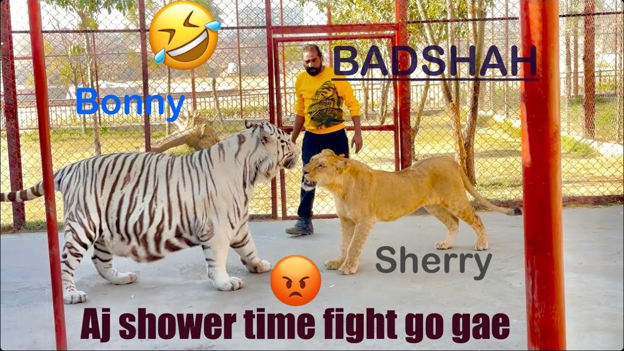 BADSHAH Bonny or Sherry ek sath shower karty hue lar pary. Aesy nahana chase |Asif shero wala