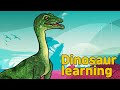 Dinosaur Compsognathus Collection | What is this dinosaur? | carnivorous dinosaur | 콤프소그나투스 육식 공룡
