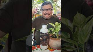 TURFA: Super Condicionador de Solo, propriedades físicas, químicas e biológicas da terra. #plantas
