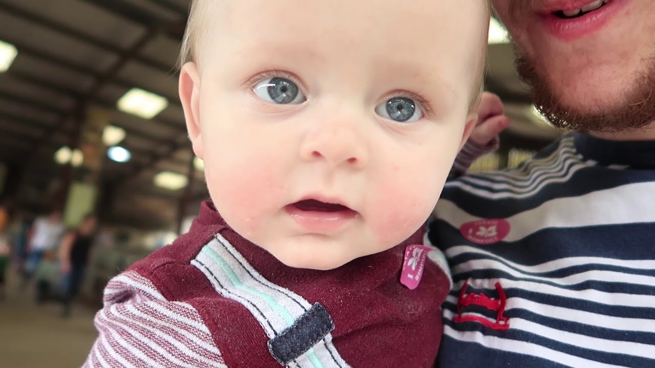 WIMPOLE HOME FARM & HALL!