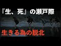 脱北ルート10,000Km以上。脱北はどの様に行われるか