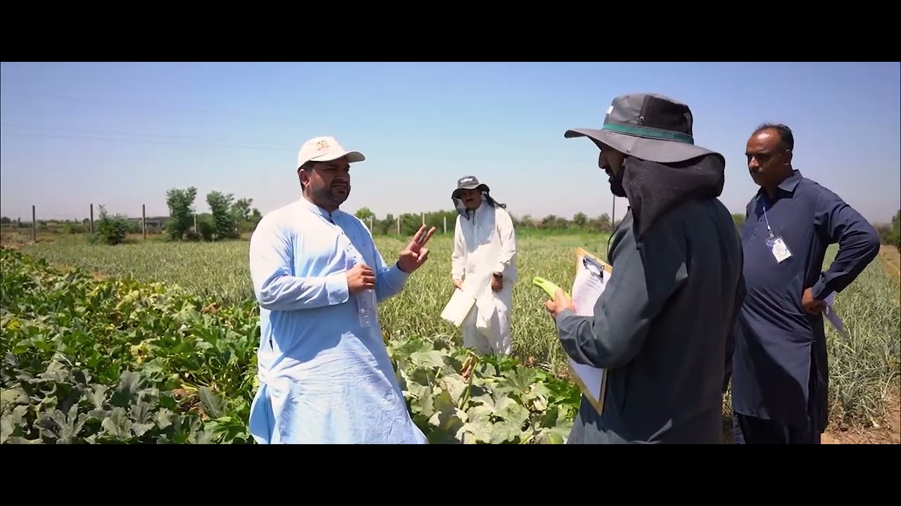 Tarnab Farm Tour: Inside Pakistan’s Leading Vegetable Seed Farm!